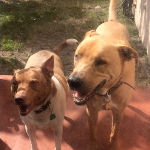 Meet your Posher, Jenny - Picture 1 of 7